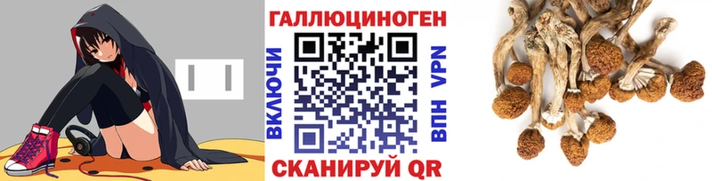 Псилоцибиновые грибы мухоморы  как найти закладки  Вольск 