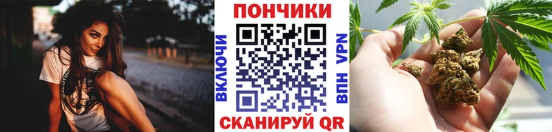 Бошки марихуана ГИДРОПОН  Вольск 
